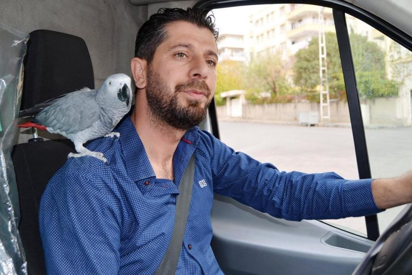 Can dostu papağanını 4 yıldır yanından ayırmıyor