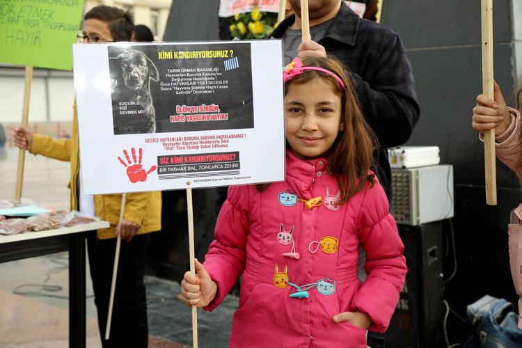 Hayvana şiddet suçtur!