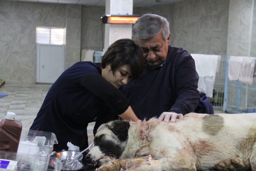 Acımasızca boynundan bıçaklamışlar