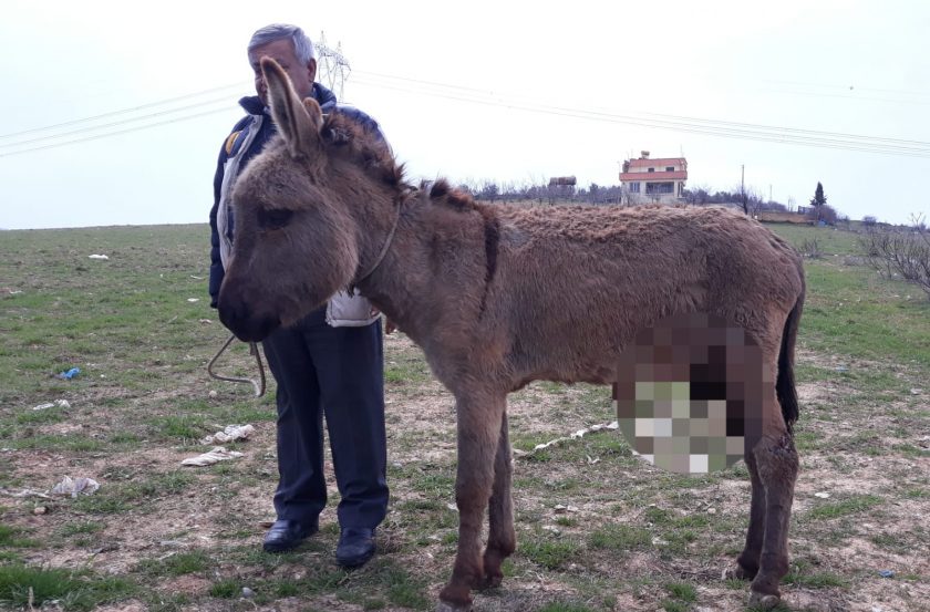 Bunu yapan insan olamaz