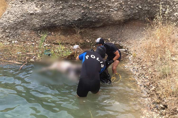 Olaya şahit olan telefona sarıldı