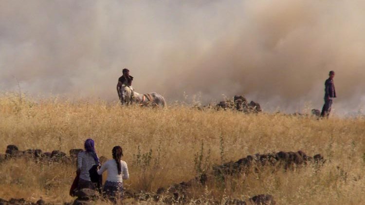 Bin dönümlük arazide yangın