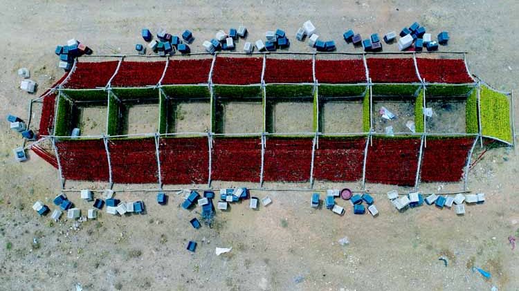 “Antep kurutmalıkları” tezgahlara asıldı