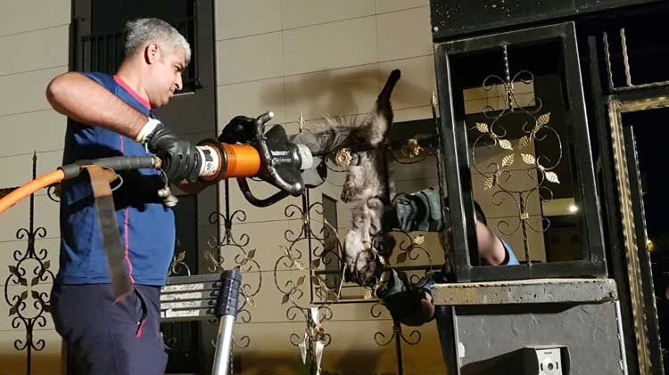 Korkuluklara saplandı!