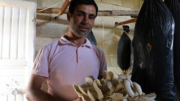 800 Liraya Tesis Kurdu, Ücretsiz Dağıtıyor