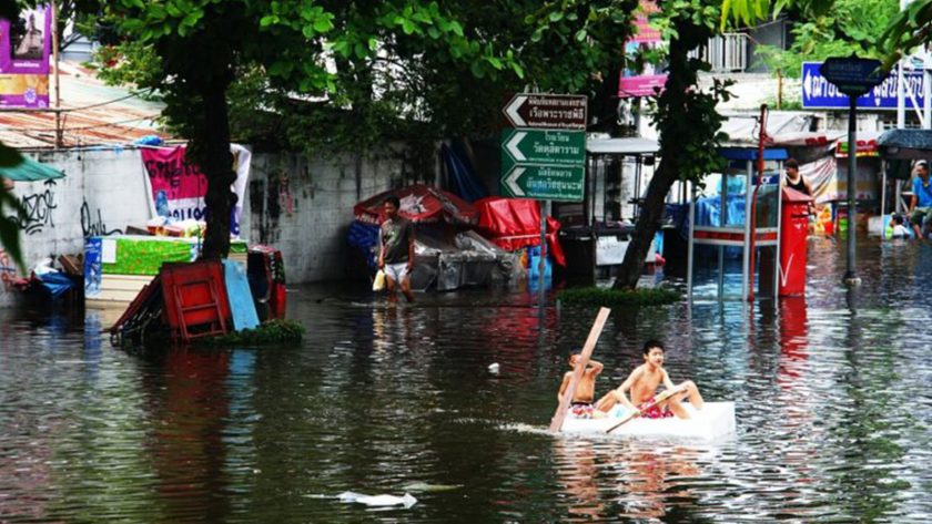 Yılda 20 milyon insan evinden oluyor