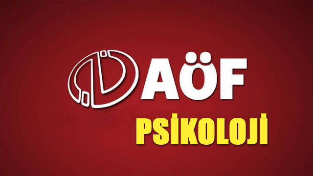 Tüm Psikologlar Platformu: Açık öğretimle psikolog yetiştirmek halk sağlığına zarar…