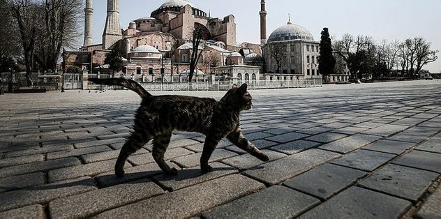 Sokağa Çıkma Yasağı Başladı