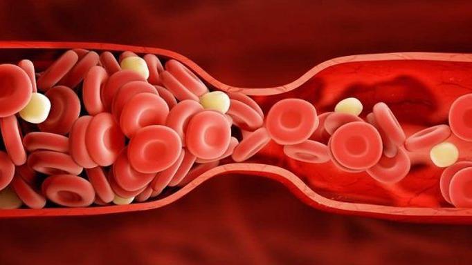 Damar yaşınız kaç?