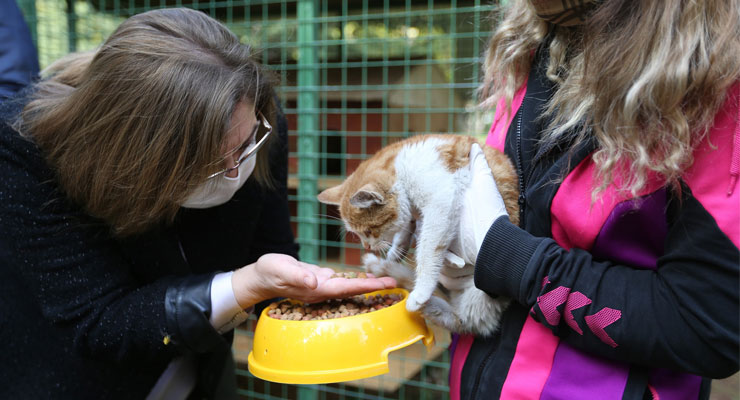 Sokak hayvanları için Mustafa Kemal Üniversitesi ile önemli protokol