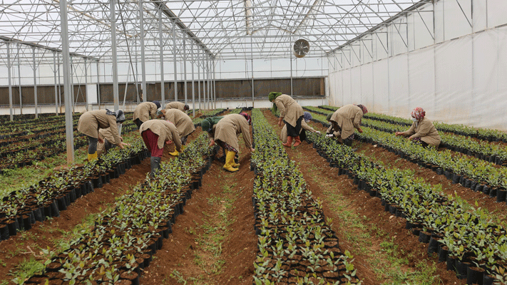 Gaziantep’te tarım eğitimleri başladı