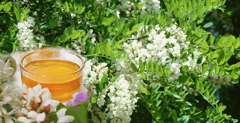 Bu bitki kabızlık problemini çözüyor