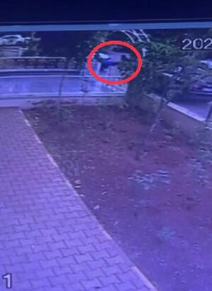 Bu kez doktora doktordan saldırı!