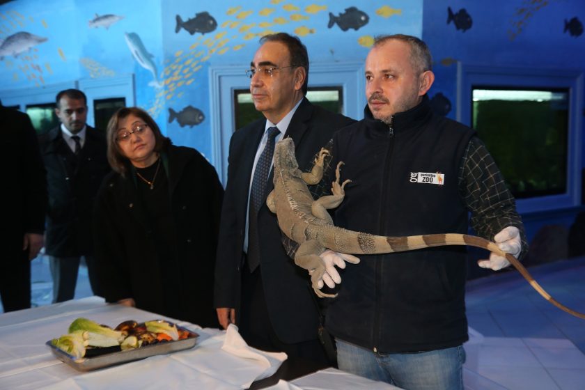 Kaçak yollarla ülkeye sokulmak istenirken ele geçirilen 108 hayvan artık Gaziantep’te!