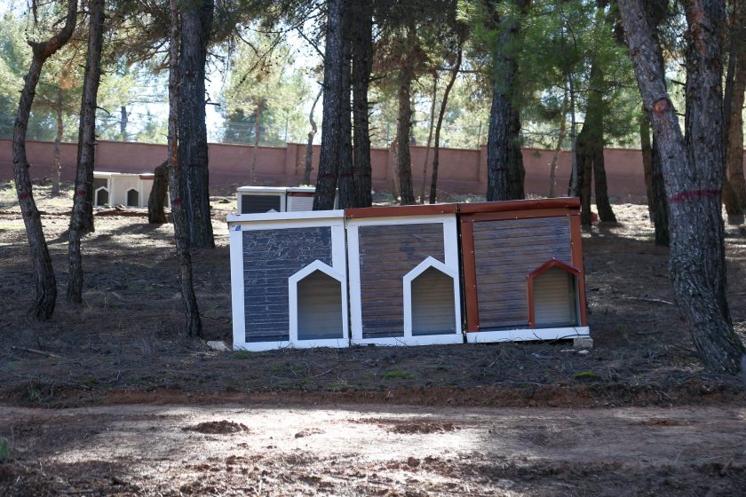 Gaziantep’te, Sokak Hayvanları İçin Doğayla İç İçe Yaşam Alanı