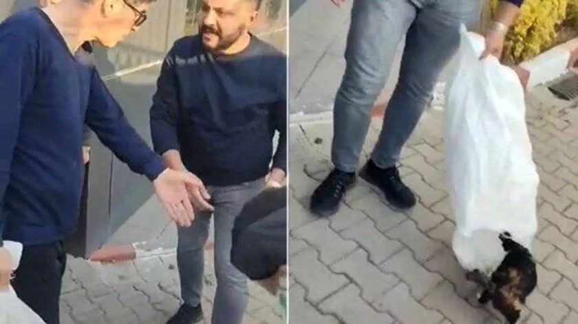 KYK yurdu çalışanları bahçesindeki kedileri çuvallara koyarak topladı!